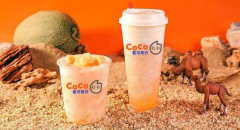 在广州如何开一家长期盈利的coco奶茶店